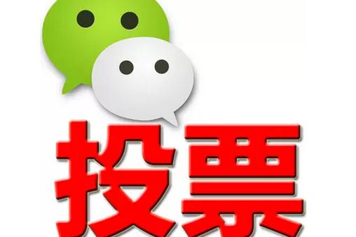 白城市微信投票功能开发 上传图片投票